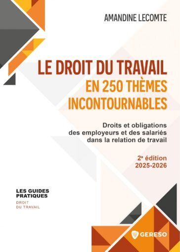 Droit du travail dans 250 thèmes essentiels - © DR