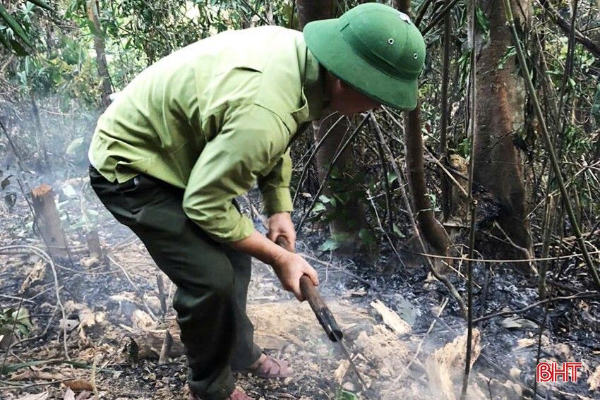 CHUC Workers A Forestry and Service Company Limited (Huong Son) Vérifiez et gérez les incendies laissés par des personnes entrant dans la forêt pour récolter le miel afin d'éviter le risque d'incendie de forêt. bqbht_br_chuc-a-copy.jpg