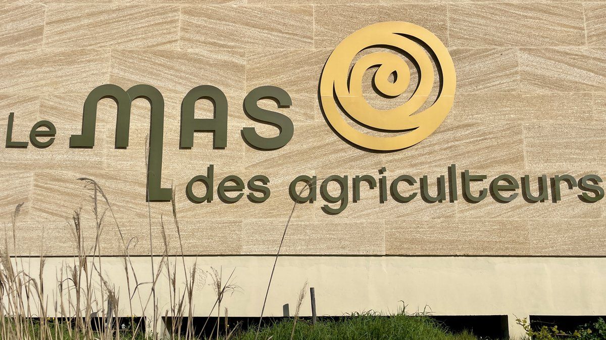 Mas of Farmers Strawberries Asparagus Pâques Chocolates 2024 (Photo Anthony Maurin)