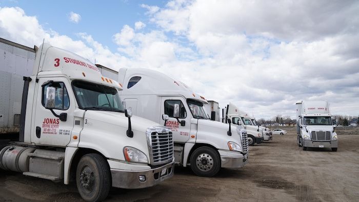 Les camions scolaires de l'école de conduite de Jonas se sont alignés en rang.