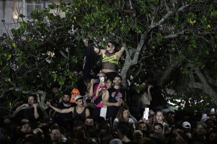 Les fans n'ont pas hésité à gravir les arbres pour bénéficier du meilleur point de vue.