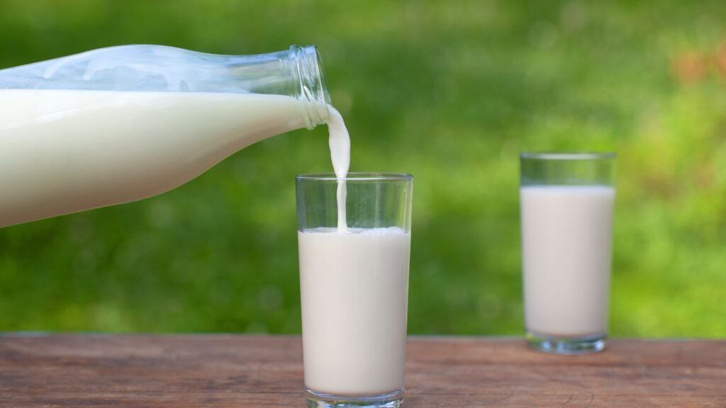 lait