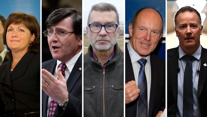 Linda Lapointe, Costas Tegakis, Doug Eyolfson, Kerry Diotte et Stephen Fuhr.
