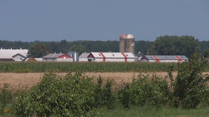 Une ferme, des silos et des champs à Sainte-Brigitte-des-Saut.