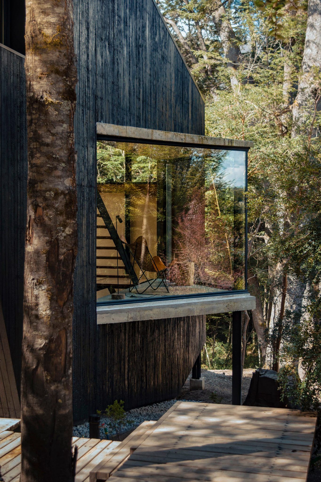 Décoration contemporaine de maison en bois noir
