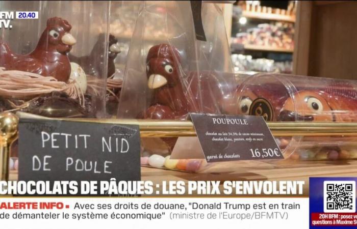 Le rapport de 20 heures – le prix des chocolats de Pâques a augmenté de 14% en un an -.