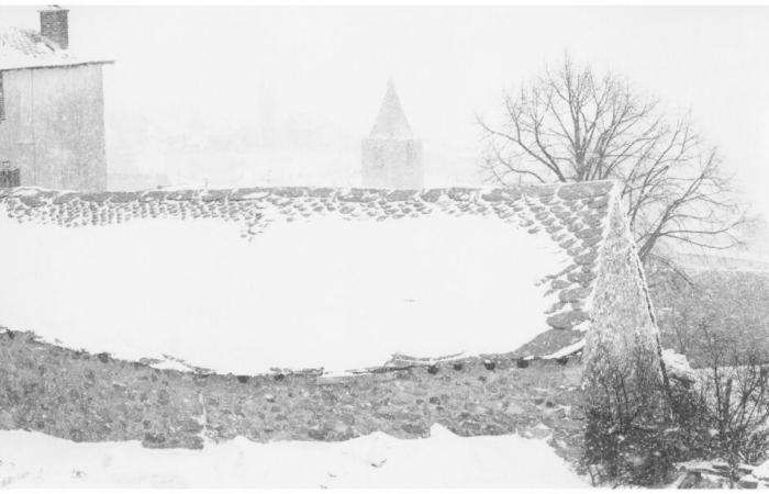 Galerie Durev: Alain Combier: Alma Mater – .