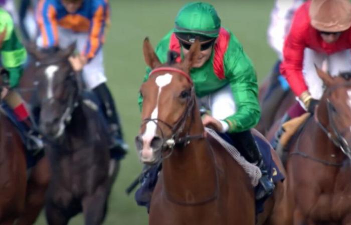 Les chevaux entraînés à Chantilly obtiennent de grands résultats dans la rencontre lucrative de la Coupe du monde de Dubaï -.