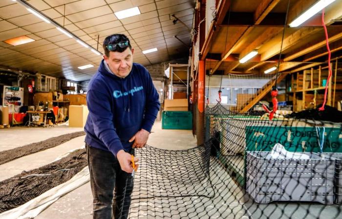 Ces retais très discrets ont inondé le monde de leurs filets depuis 1947 -.