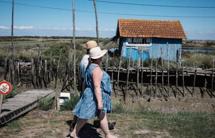 “La petite île gagne contre la multinationale …” Airbnb a condamné pour payer 8,6 millions d’euros à Oléron -.