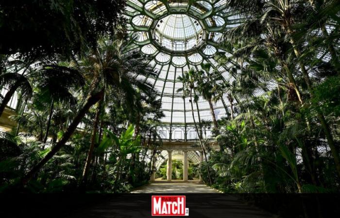 Zoomez sur trois autres magnifiques jardins botaniques -.