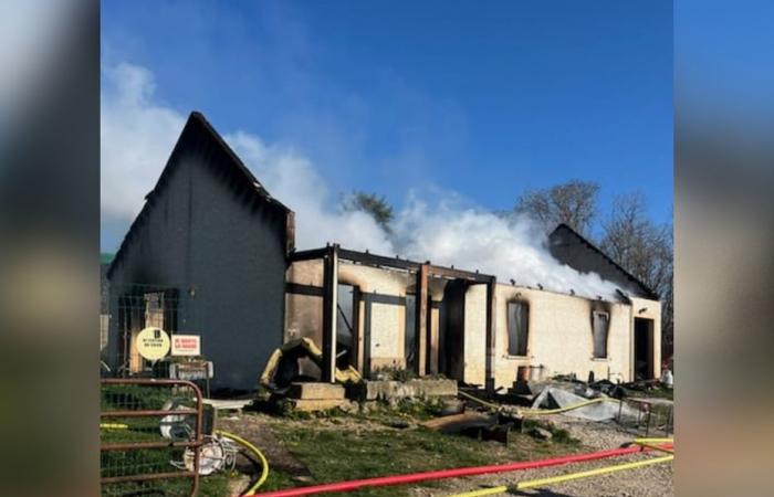 Un minou a été lancé pour la famille qui a tout perdu dans les flammes -.