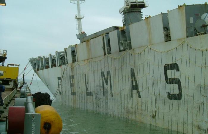 Ces retais très discrets ont inondé le monde de leurs filets depuis 1947 -.