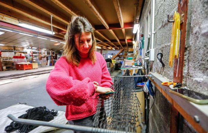 Ces retais très discrets ont inondé le monde de leurs filets depuis 1947 -.