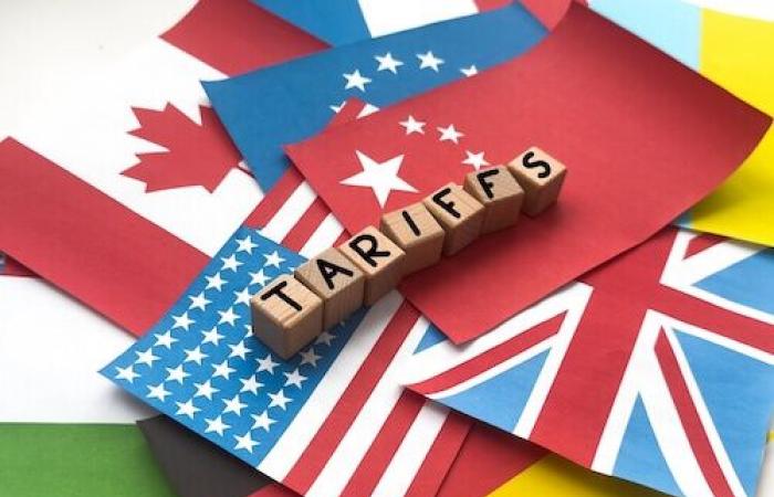 Quel avenir pour le dollar face aux tarifs douaniers de l’administration Trump? – France – .