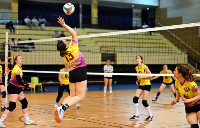 defeat against Salins for Le Creusot – .