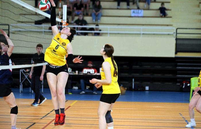 defeat against Salins for Le Creusot – .
