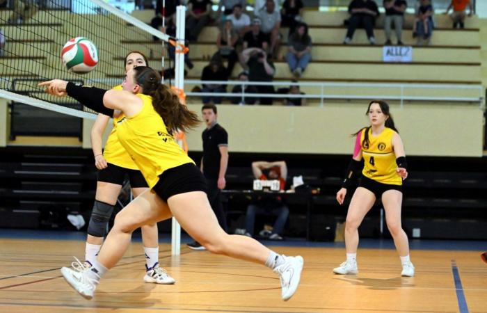 defeat against Salins for Le Creusot – .