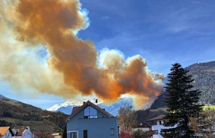 50 à 60 hectares de forêt en flammes – South Tyrol News -.