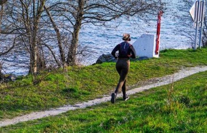 Selon une étude, environ 15% des coureurs se sentent peu sûrs et plus d’un