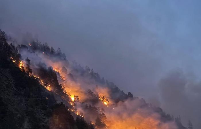 50 à 60 hectares de forêt en flammes – South Tyrol News -.