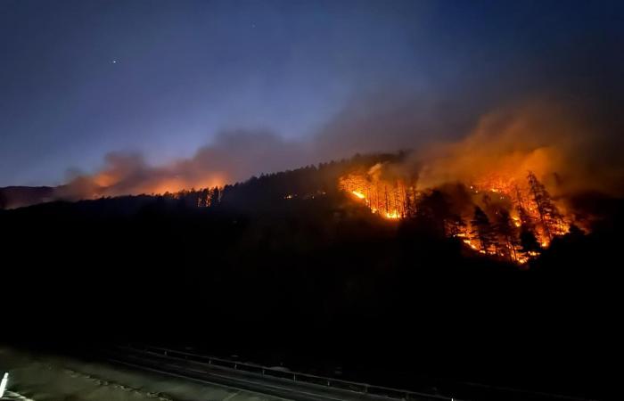 50 à 60 hectares de forêt en flammes – South Tyrol News -.