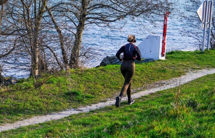 Selon une étude, environ 15% des coureurs se sentent peu sûrs et plus d’un