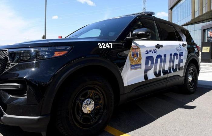 Les armes à feu saisies et trois personnes ont arrêté -.