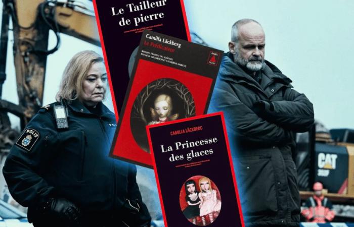 9 livres de Camilla Läckberg pour lire si vous avez aimé la série Le Dôme de Verre -.