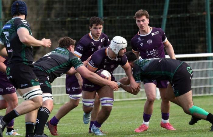 Les espoirs de SA XV attaquent la dernière ligne droite de leur saison -.