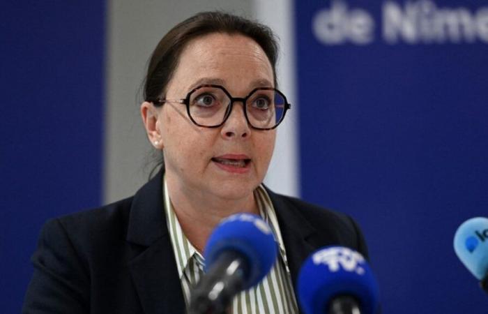 Le meurtrier a agi par un «désir obsessionnel de tuer une personne», a déclaré le procureur de Nîmes -.