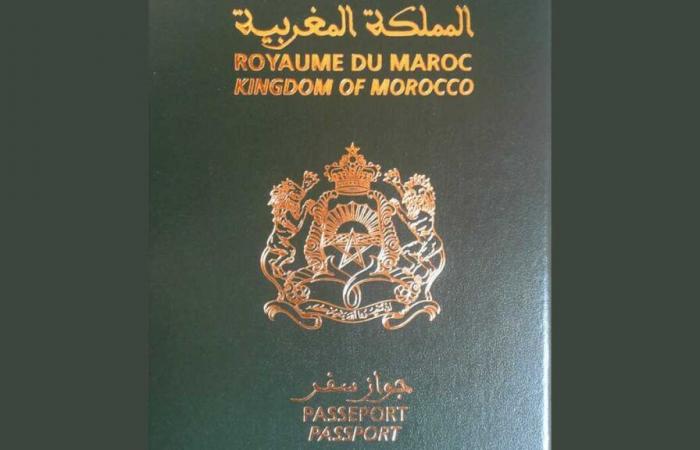 L’exclusion des binationals du gouvernement -.
