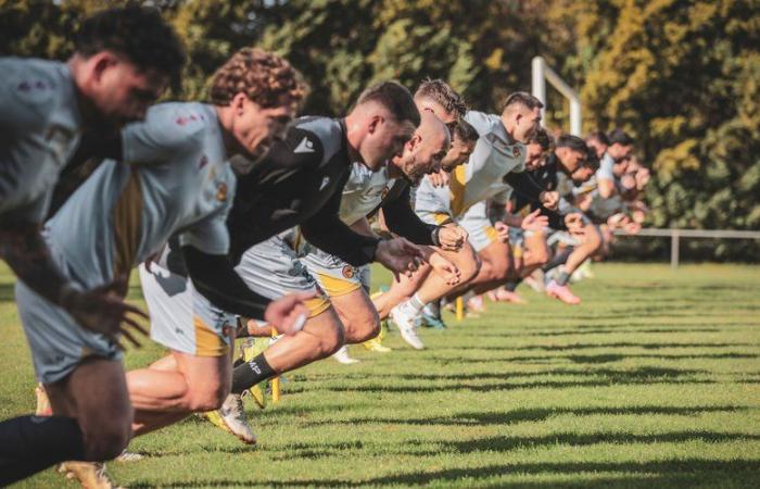 Les dragons catalans ont repris leur quartier pendant dix jours en Angleterre -.