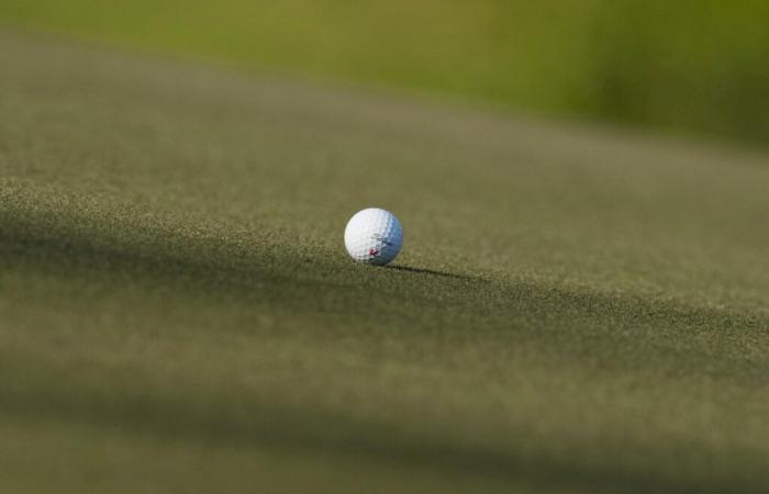 Le magnat thaïlandais condamné pour l’élargissement illégal de golf -.