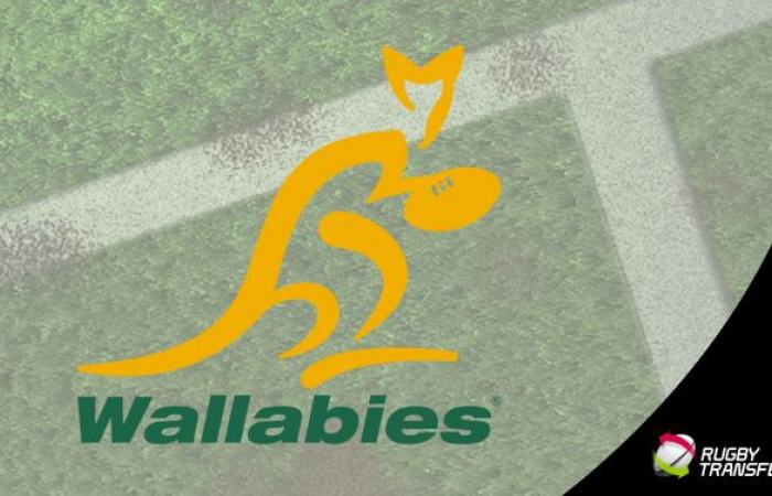 Joe Schmidt étend son contrat avec les Wallabies jusqu’en 2026 -.