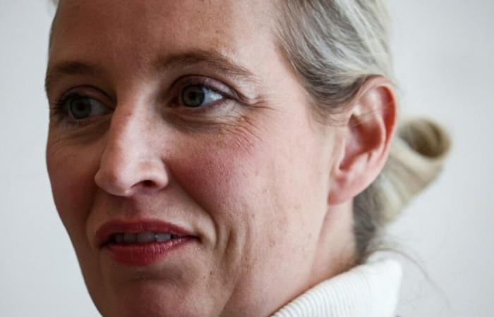 Le parti AFD a confirmé «l’extrémiste de la droite» -.