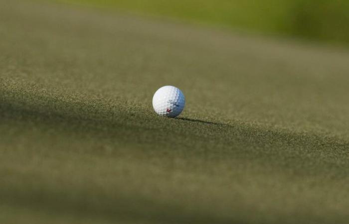 Un magnat thaïlandais condamné à 24 ans de prison pour avoir développé son parcours de golf dans une réserve naturelle -.