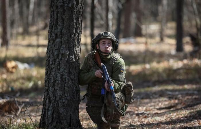 Aucune partie de l’Ukraine ne doit être prise ou cédée -.