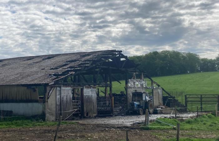 «Nous avons pu sauver tout le monde», un incendie détruit presque tout le bâtiment agricole de 1200 m2 -.