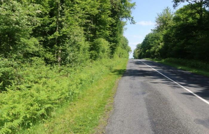 Une femme gravement blessée dans un accident de moto -.