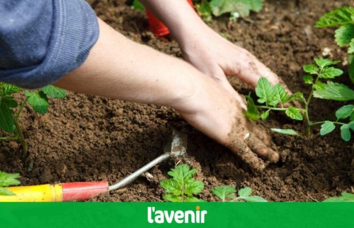 «L’intérêt de cette activité est d’être dans le résultat concrète» -.