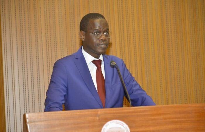 Nommé ministre au président de la République, quels sont les attributs d’Ahmadou Alhaminou Mohamed Lo? -.