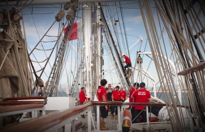 Ils étaient à bord du Belem il y a un an pour l’arrivée de la flamme olympique -.