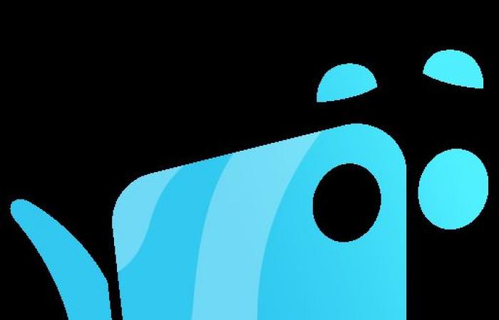 À quelle heure tout sera diffusé pour la lumière sur TF1? Les 4 scénarios envisagés! -.