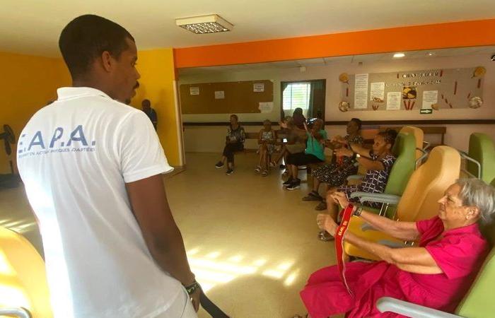 L’activité physique comme remède contre la maladie d’Alzheimer en Martinique -.