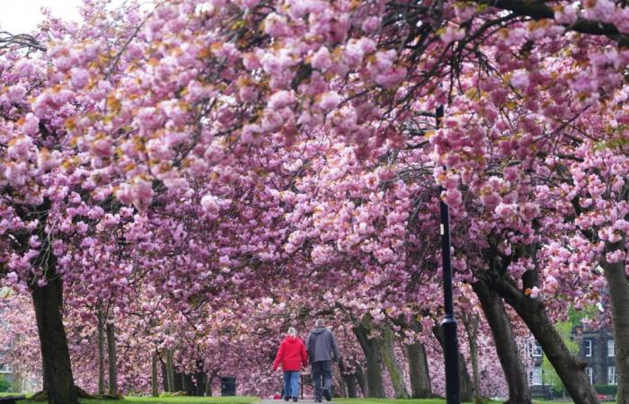 Cette ville en Europe est presque aussi belle que le Japon -.
