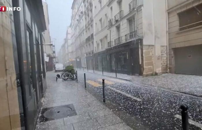 En Île de-France, une violente tempête a surpris les habitants -.