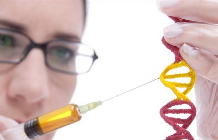 Les cellules immunitaires publiées dans les gènes sont prometteuses contre les cancers avancés gastro-intestinaux -.