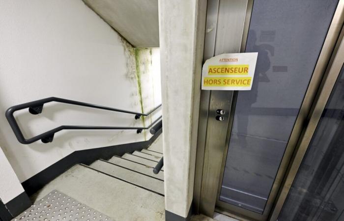 Dans les districts de la classe ouvrière, «l’épreuve» sans fin des pannes d’ascenseur -.