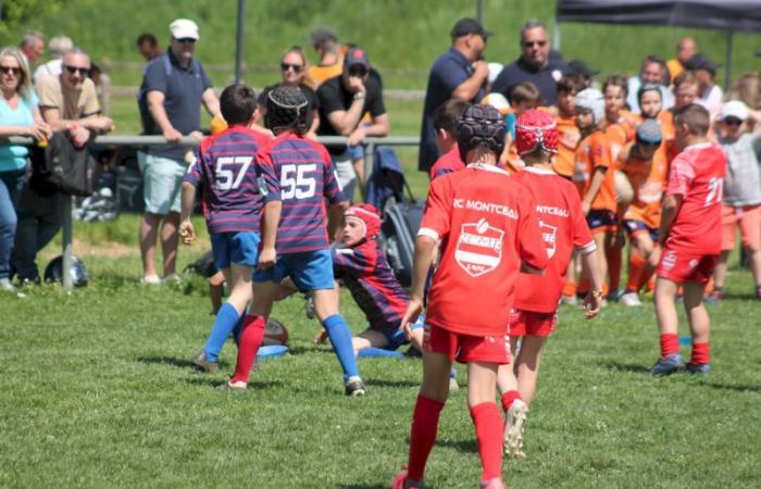 U8, U10 et U12, RC Montceau Grande Winner -.
